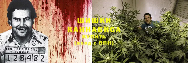 Канабис OG Kush  Александровск 